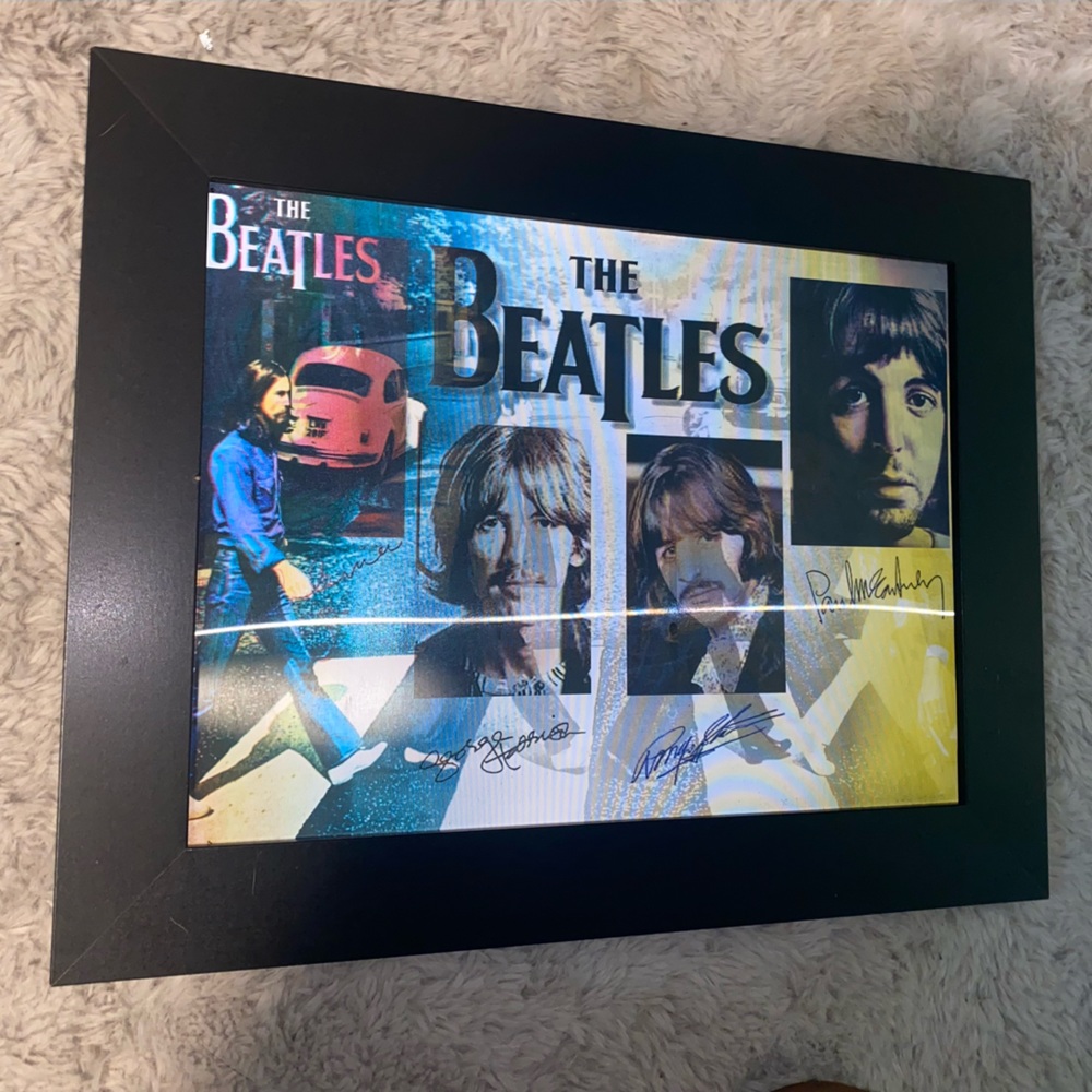 The beetles, 3 in 1 photo